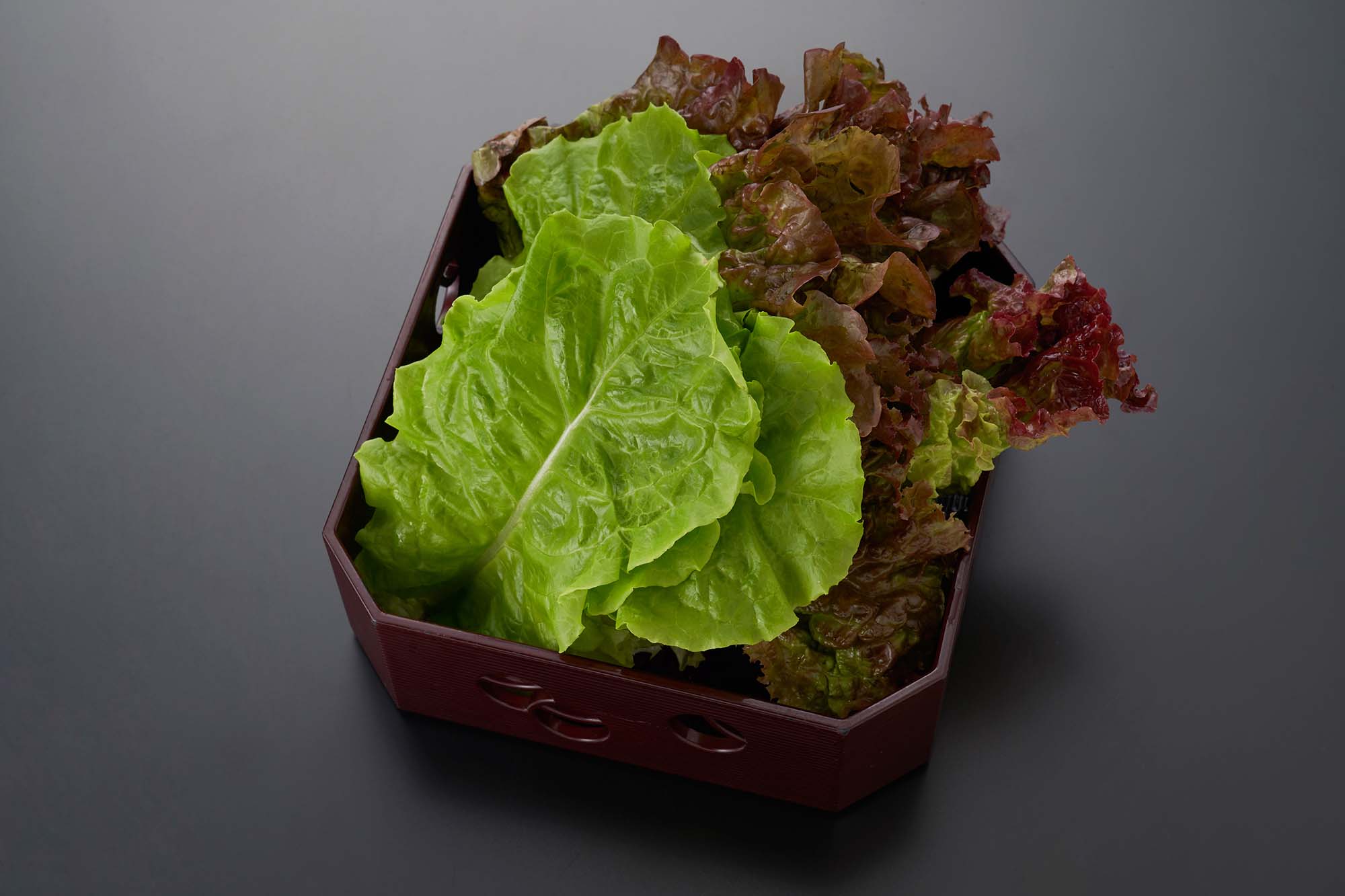 Korean lettuce